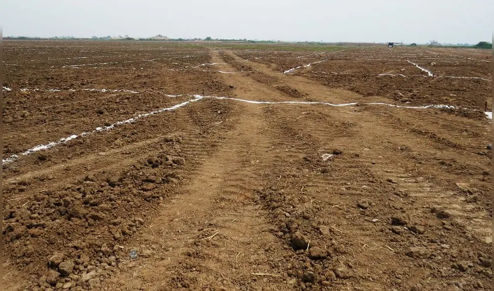 Huaca Bobadilla estará protegida provisionalmente por dos años. Foto: Proyecto Inmobiliario Villa Bobadilla/Facebook.