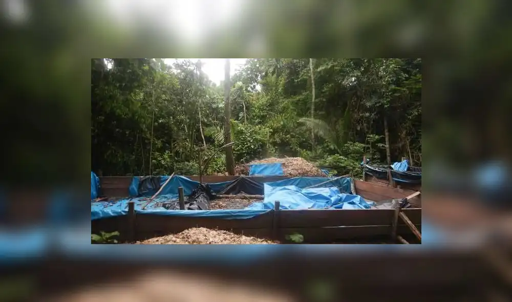 PNP realiza las investigaciones del caso. Foto: PNP