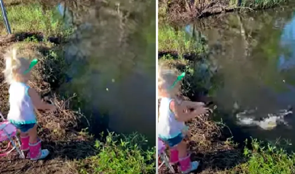 El video ha sido compartido en el canal ViralHog. Foto: captura de YouTube El video ha sido compartido en el canal ViralHog. Foto: captura de YouTube