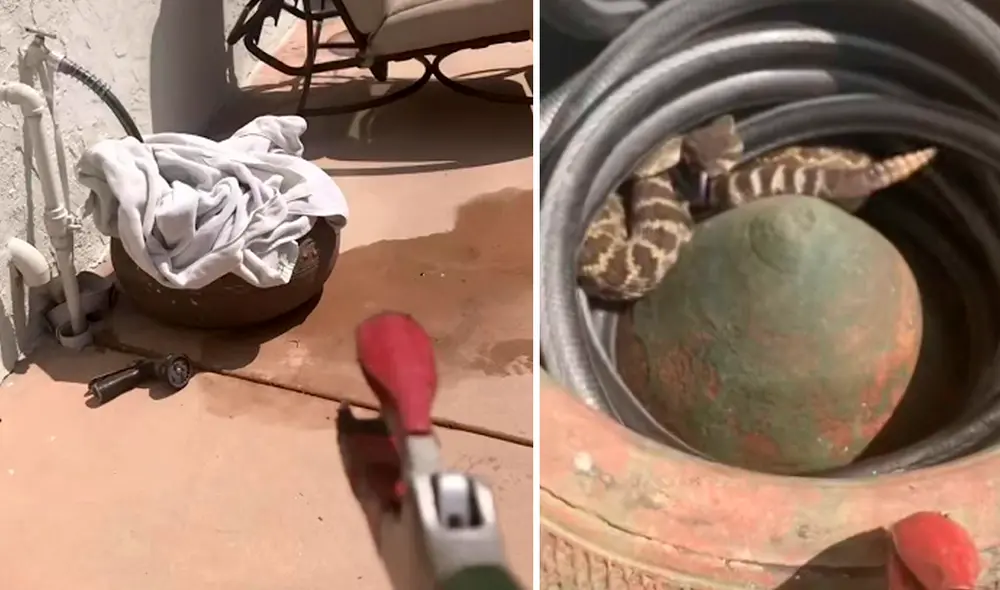 El video viral ha causado gran sensación en las redes sociales. Foto: captura de YouTube El video viral ha causado gran sensación en las redes sociales. Foto: captura de YouTube