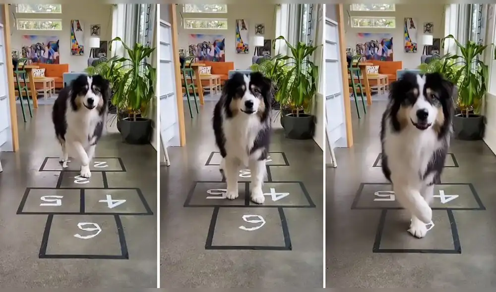 La conmovedora escena consiguió más de 5 millones de ‘me gusta’ en la red social. Foto: captura de Instagram La conmovedora escena consiguió más de 5 millones de ‘me gusta’ en la red social. Foto: captura de Instagram