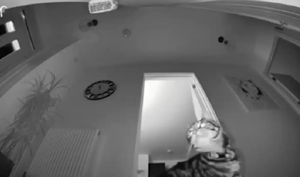 El video ha sido compartido en la página Ring. Foto: captura de Facebook