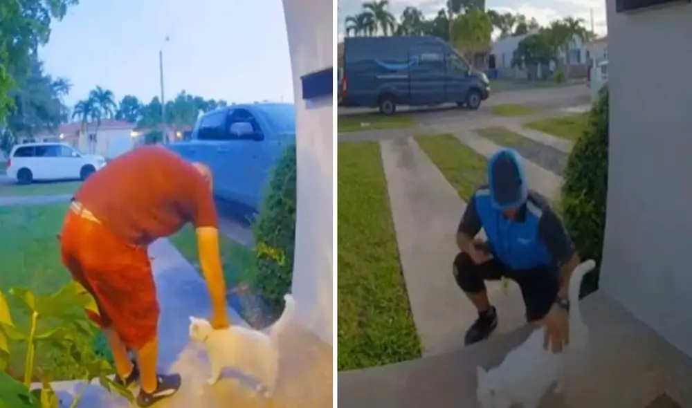 Una familia se percató de que su mascota se colocaba en la entrada de su hogar para recibir a los repartidores, quienes caían en su encanto y la llenaban de caricias. Foto: captura de Facebook Una familia se percató de que su mascota se colocaba en la entrada de su hogar para recibir a los repartidores, quienes caían en su encanto y la llenaban de caricias. Foto: captura de Facebook