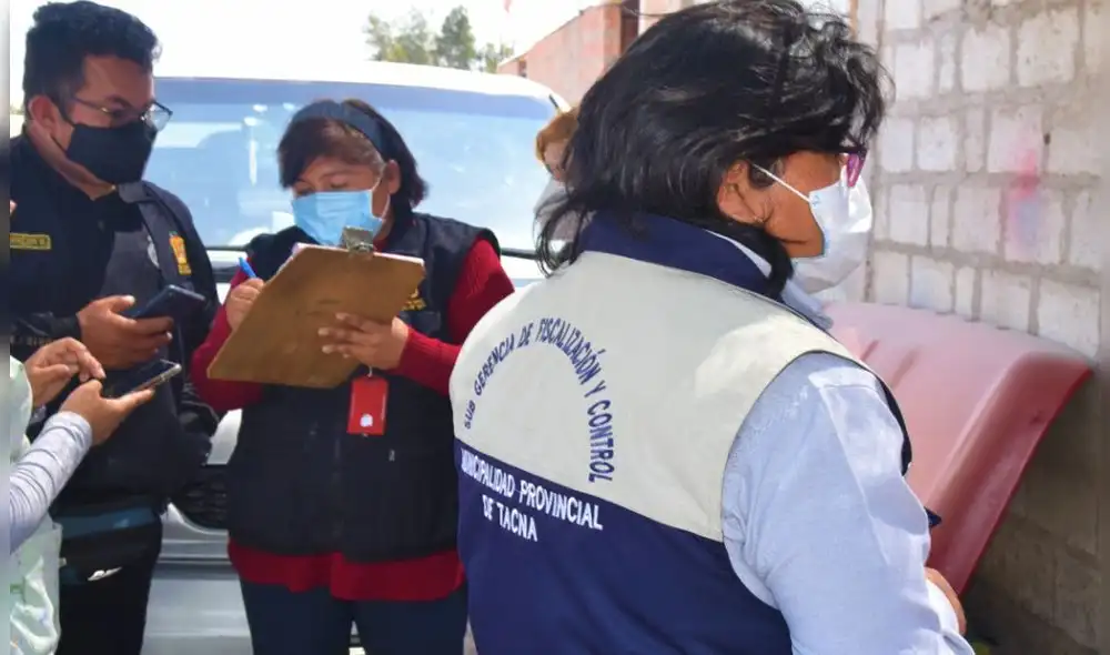 Perro agredido fue rescatado por un grupo animalista. Foto: Municipalidad de Tacna