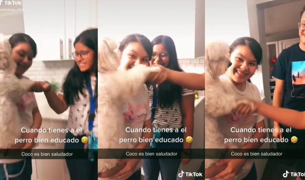 Las personas que recibían el saludo del perro se mostraron sorprendidas y felices de conocer a un can educado. Foto: captura de TikTok