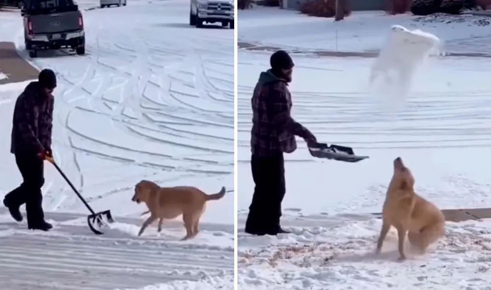 Un perrito acompañó a su dueño a limpiar la entrada de su hogar que estaba cubierto de nieve; sin embargo, no pudo ocultar su alegría al tocarlo por primera vez. Foto: captura de Facebook