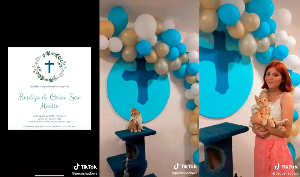 La mujer causó sensación en las redes por su tierna ocurrencia. Foto: captura de TikTok La mujer causó sensación en las redes por su tierna ocurrencia. Foto: captura de TikTok