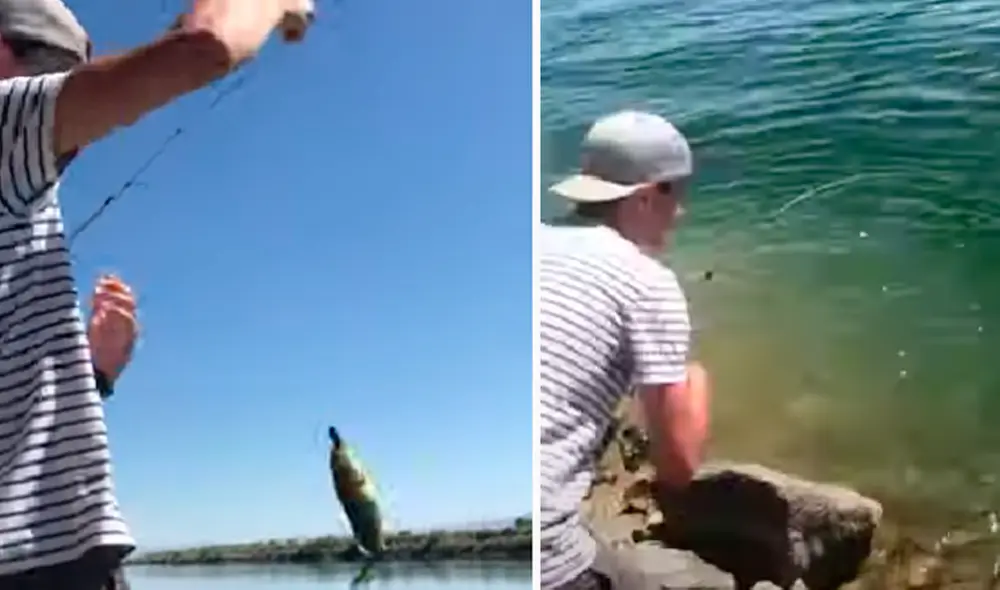 El video ha sido compartido en la página ViralHog. Foto: captura de Facebook