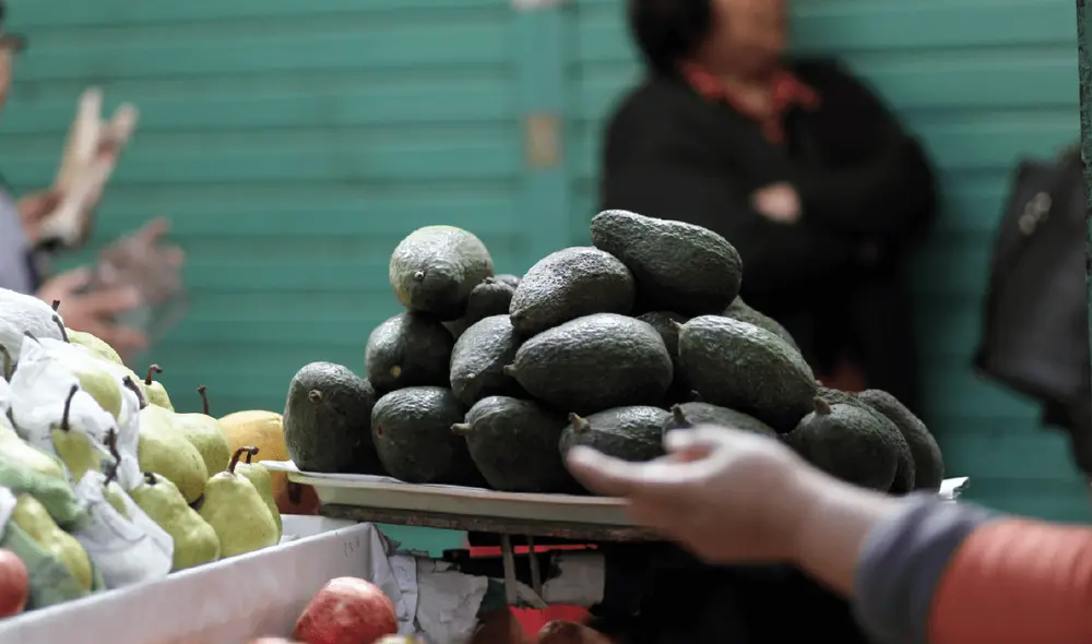 La palta fuerte es la preferida de los peruanos. Foto: La República La palta fuerte es la preferida de los peruanos. Foto: La República