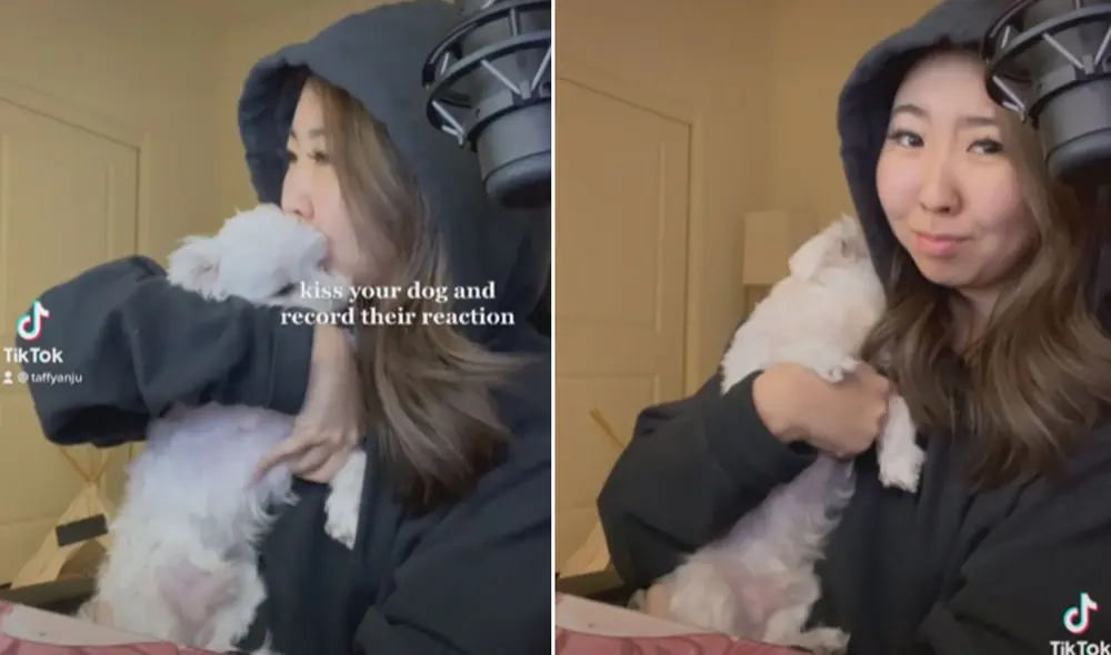 El can recibió el beso y se quedó mirando fijamente a su cuidadora, hasta que se apoyó sobre su hombro en respuesta a su muestra de afecto. Foto: captura de TikTok