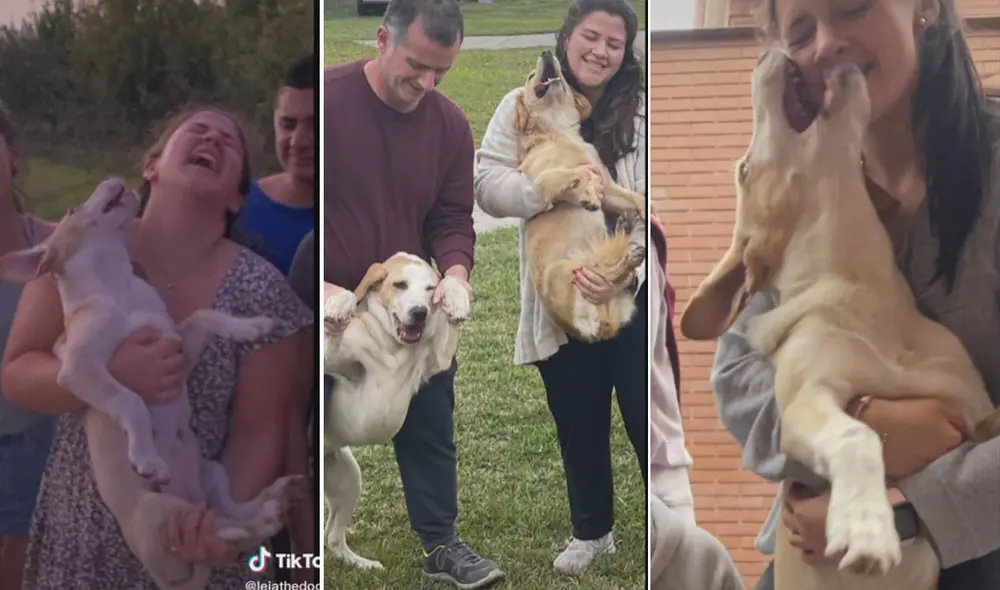 La recopilación de estos divertidos episodios llamó la atención de una gran cantidad de cibernautas en las redes. Foto: captura de TikTok La recopilación de estos divertidos episodios llamó la atención de una gran cantidad de cibernautas en las redes. Foto: captura de TikTok