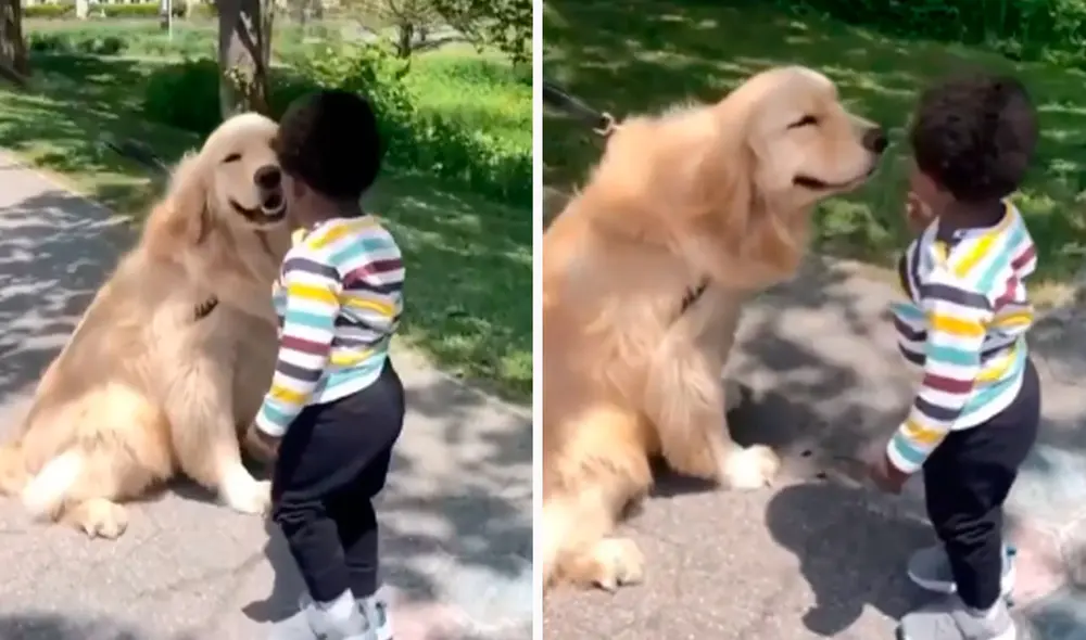 Un perro se portó de manera amigable y cariñosa con un pequeño, luego de que los dos coincidieron en el mismo lugar. Foto: captura de Facebook Un perro se portó de manera amigable y cariñosa con un pequeño, luego de que los dos coincidieron en el mismo lugar. Foto: captura de Facebook