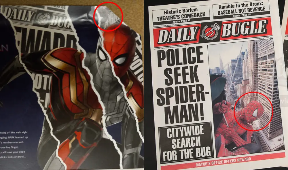 Una caja especial de Bark Box confirmaría la presencia de Tobey Maguire en Spider-man: no way home. Foto: composición/Twitter @Dominic_kravitz / Sony Pictures