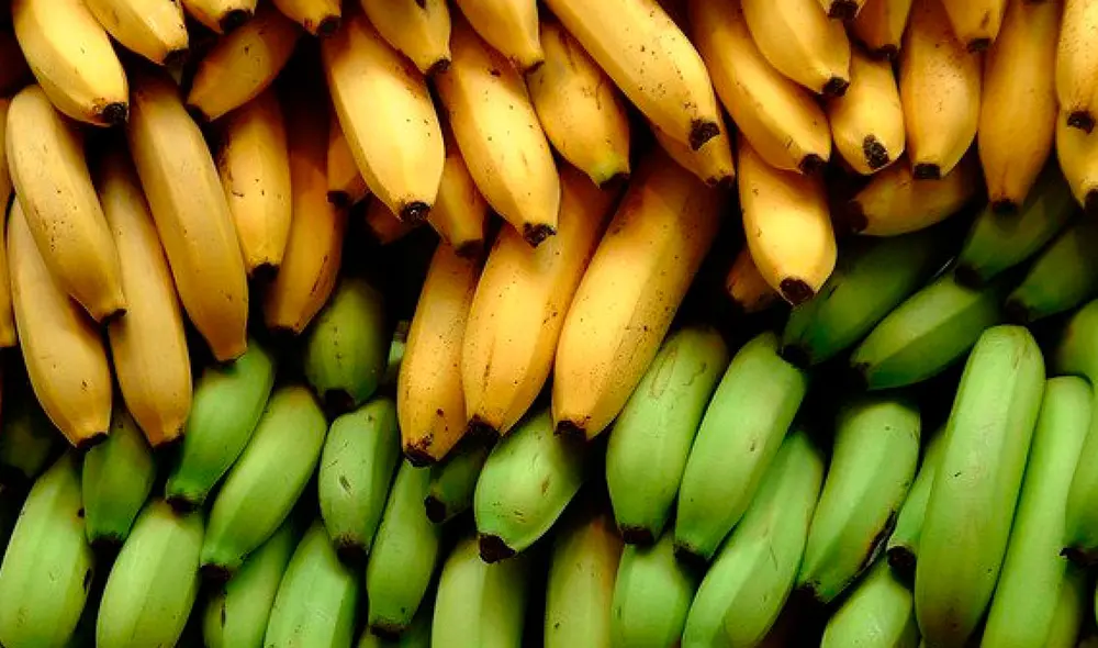 De acuerdo con la Encuesta Nacional de Hogares de 2019, el plátano es la fruta más consumida del Perú. Foto: composición de Fabrizio Oviedo / La República De acuerdo con la Encuesta Nacional de Hogares de 2019, el plátano es la fruta más consumida del Perú. Foto: composición de Fabrizio Oviedo / La República
