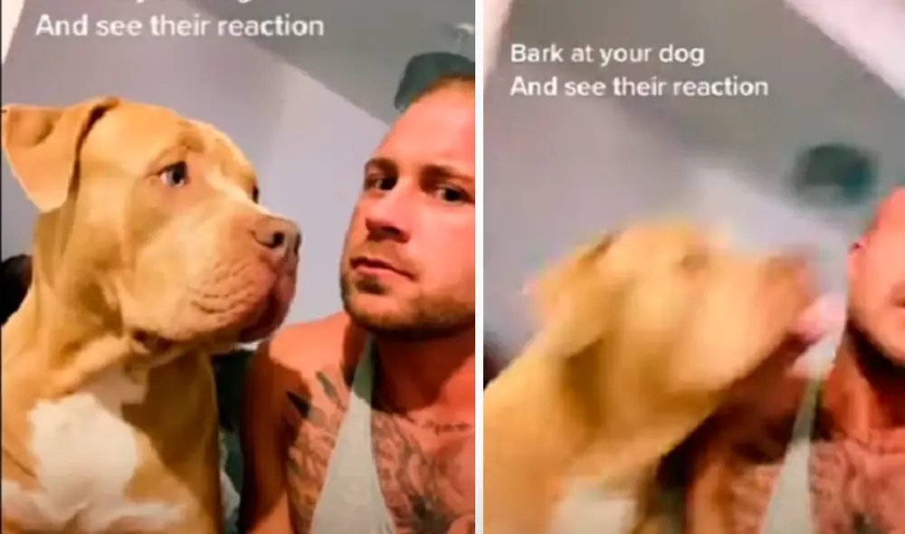 El video ha sido compartido en la página Rumble Viral. Foto: captura de Facebook