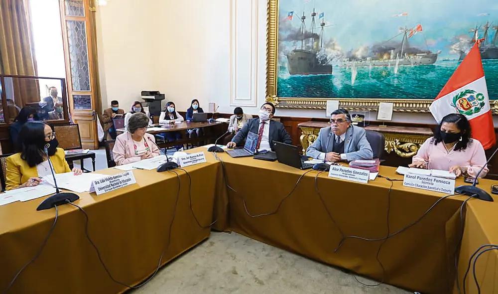 Debate. En la última sesión, el presidente de la Comisión de Educación presentó su proyecto. Foto: difusión