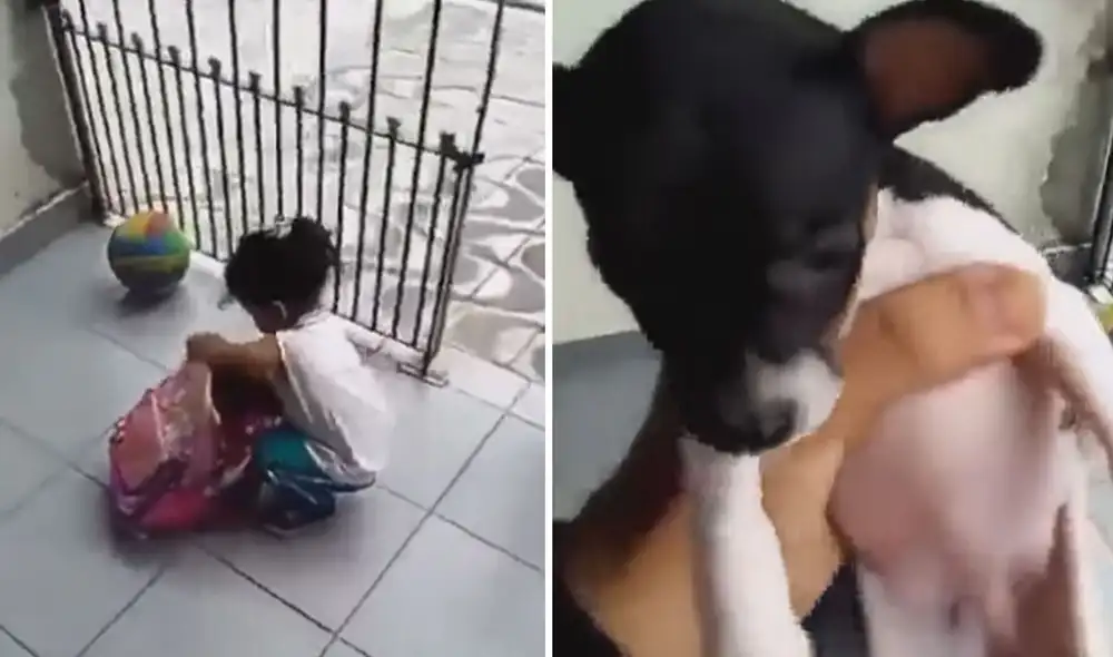 La tierna escena fue registrada por el propio padre de la menor, quien resaltó el gran cariño que su hija siente por el cachorrito. Foto: captura de Facebook