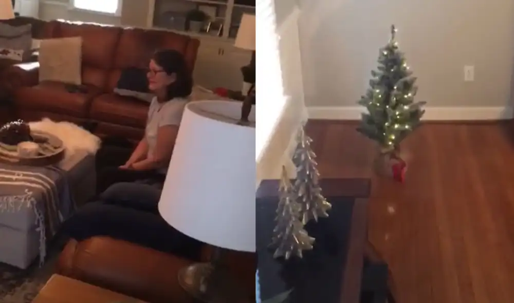 La familia no pudo evitar decepcionarse al recibir el pequeño árbol para su decoración. Foto: captura de TikTok