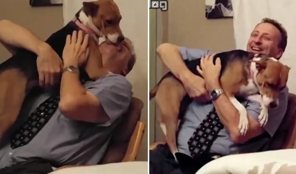 Estas imágenes quedaron registradas en un video que ya se ha vuelto tendencia en varias redes sociales. Foto: captura de YouTube