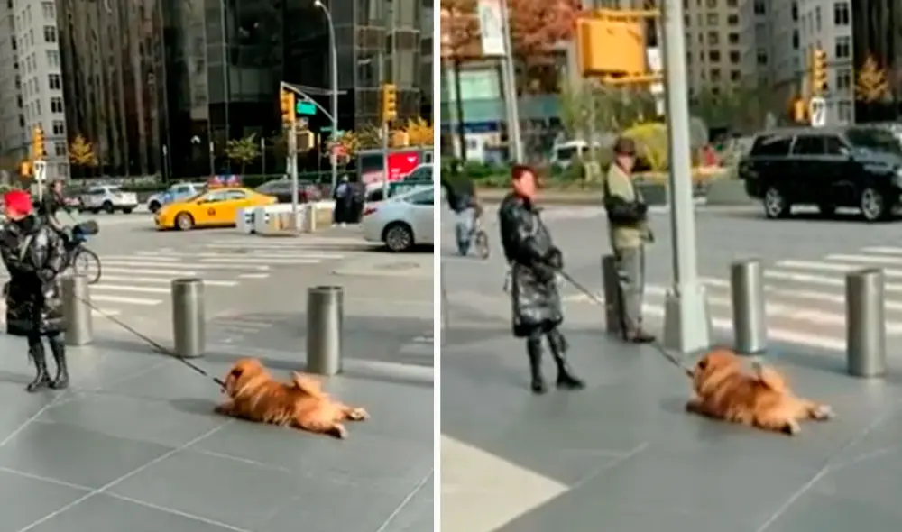 Una joven tuvo que jalar la correa de su adorable mascota para no parar su recorrido en una concurrida avenida. Foto: captura de YouTube