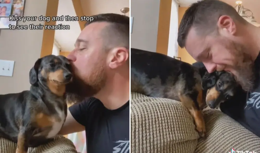 Luego de esperar a ver cuál sería la respuesta de su mascota, quedó impresionado con lo que recibió de su parte. Foto: captura de TikTok
