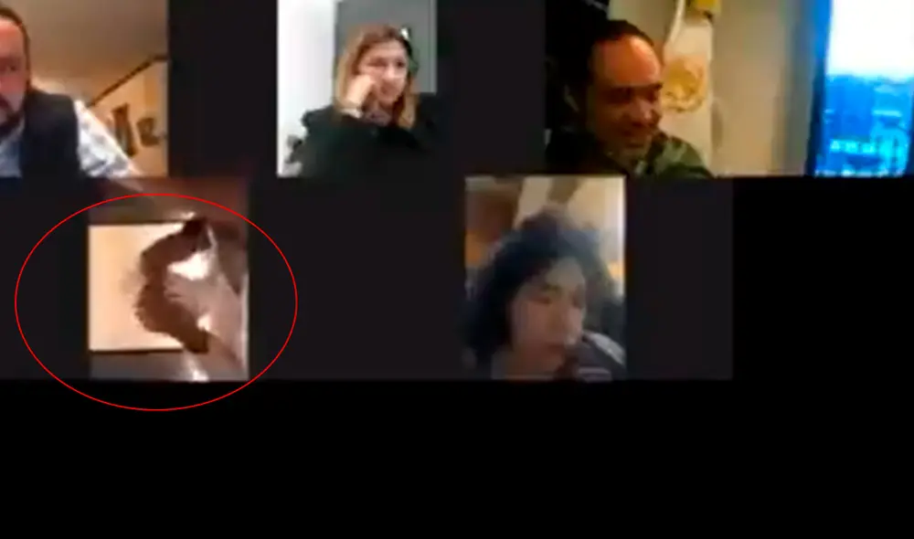 El funcionario olvidó apagar la cámara de su celular antes de ingresar al servicio higiénico. Foto: captura de Twitter