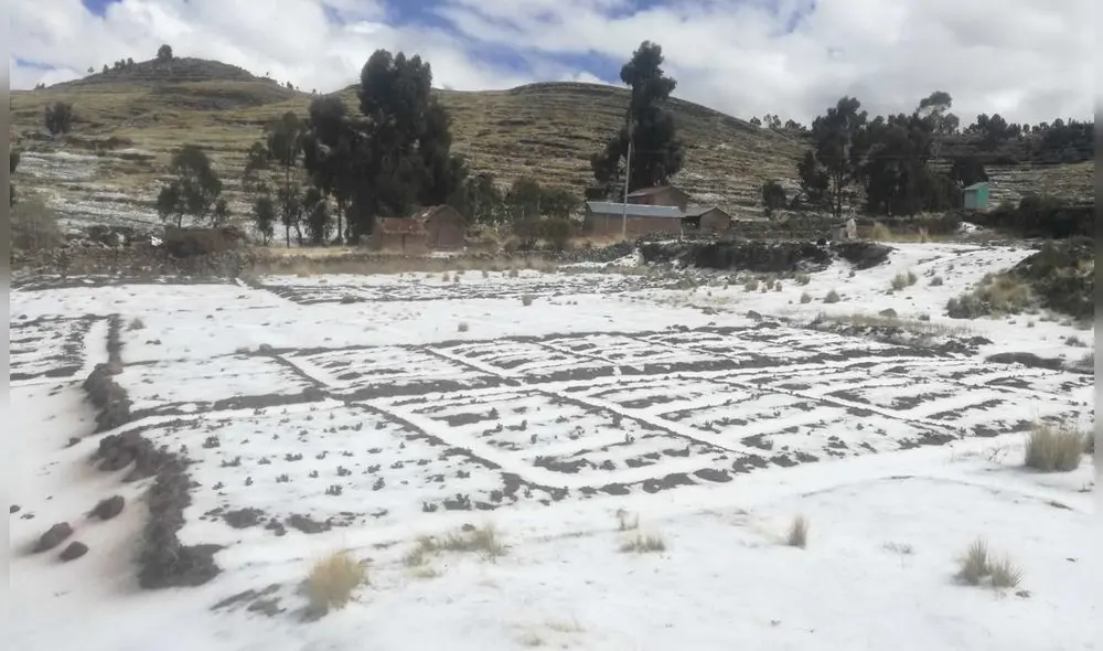 Granizada empezó en horas de la noche del miércoles. Foto: COER Puno