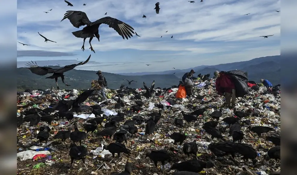A causa principalmente de la pandemia, el desempleo en Honduras pasó de 5,7% en 2019 a 10,9% en 2020. Foto: AFP