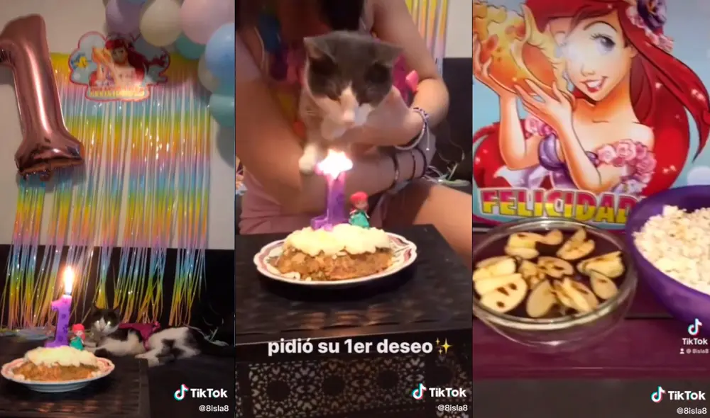La mujer cautivó a miles de usuarios con la tierna escena que desarrolló junto a su mascota. Foto: captura de TikTok La mujer cautivó a miles de usuarios con la tierna escena que desarrolló junto a su mascota. Foto: captura de TikTok