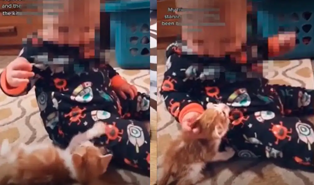 Cuando el bebito conoció al gatito se encariñó inmediatamente de él. Foto: captura de TikTok