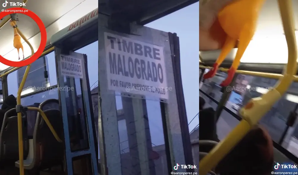 El conductor puso un pollo de juguete debido a que el timbre estaba malogrado. Foto: captura de TikTok