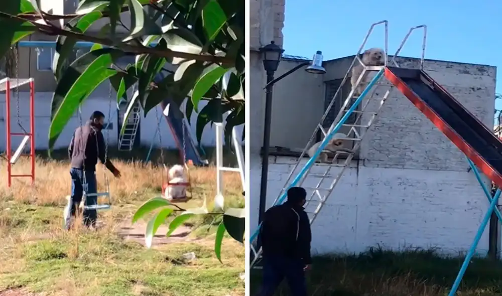 Un joven captó el preciso momento en que su vecino ayudó a sus adorables mascotas a deslizarse y moverse en los juegos infantiles. Foto: captura de Facebook