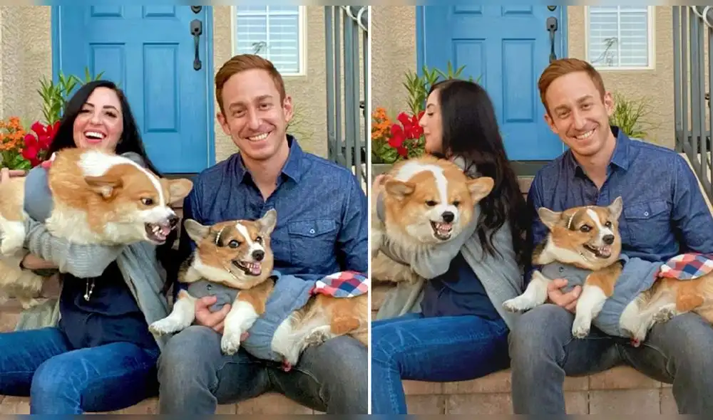 El usuario de TikTok @hammyandolivia ha conseguido más de cinco millones de reproducciones. Foto: captura de TikTok El usuario de TikTok @hammyandolivia ha conseguido más de cinco millones de reproducciones. Foto: captura de TikTok