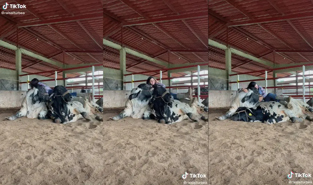 Así como este clip, la mujer tiene otros videos acerca de sus engreídos. Foto: captura de TikTok
