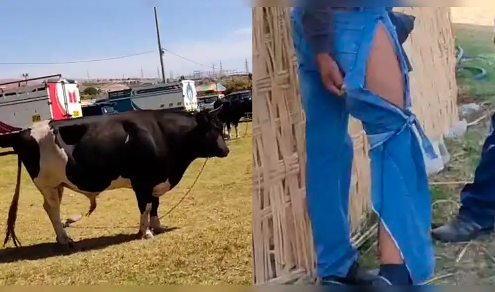 Feria Artesanal e Industrial de Moquegua se realiza por el aniversario de la región. Foto: composición La República/capturas de Radio Americana Feria Artesanal e Industrial de Moquegua se realiza por el aniversario de la región. Foto: composición La República/capturas de Radio Americana