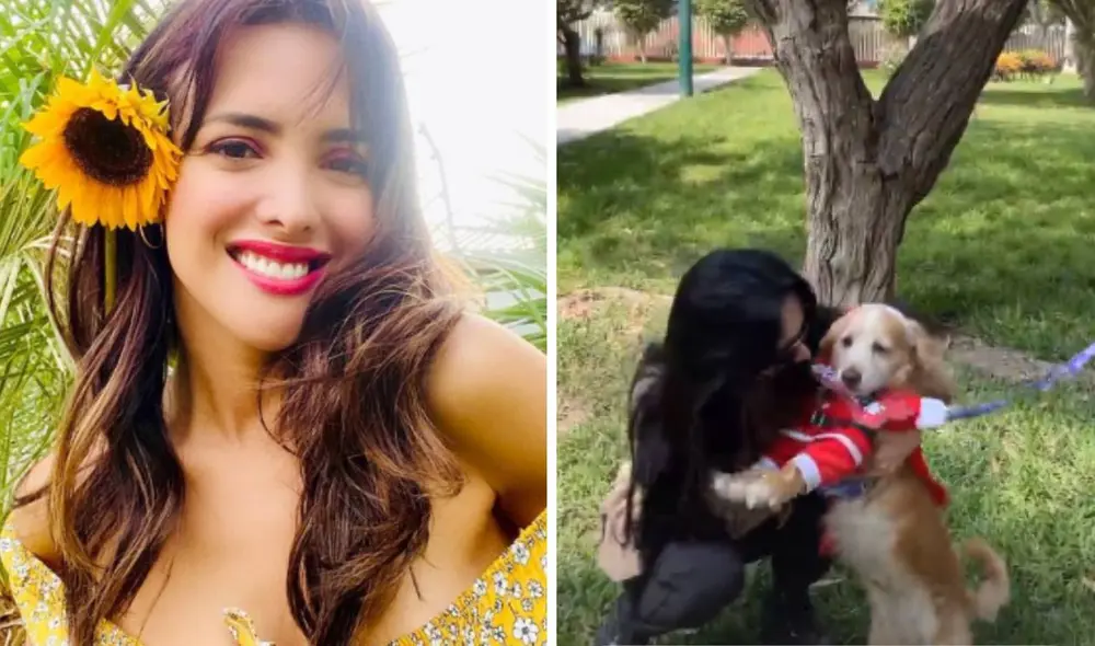 Rosángela Espinoza busca hogar para tres perritos. Foto: Rosángela Espinoza / Instagram