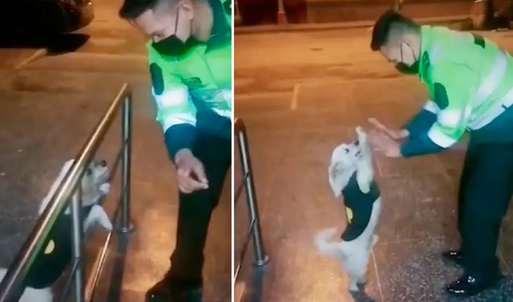 Esta pareja de baile ha dejado encantado a miles de usuarios en las redes sociales. Foto: captura de TikTok