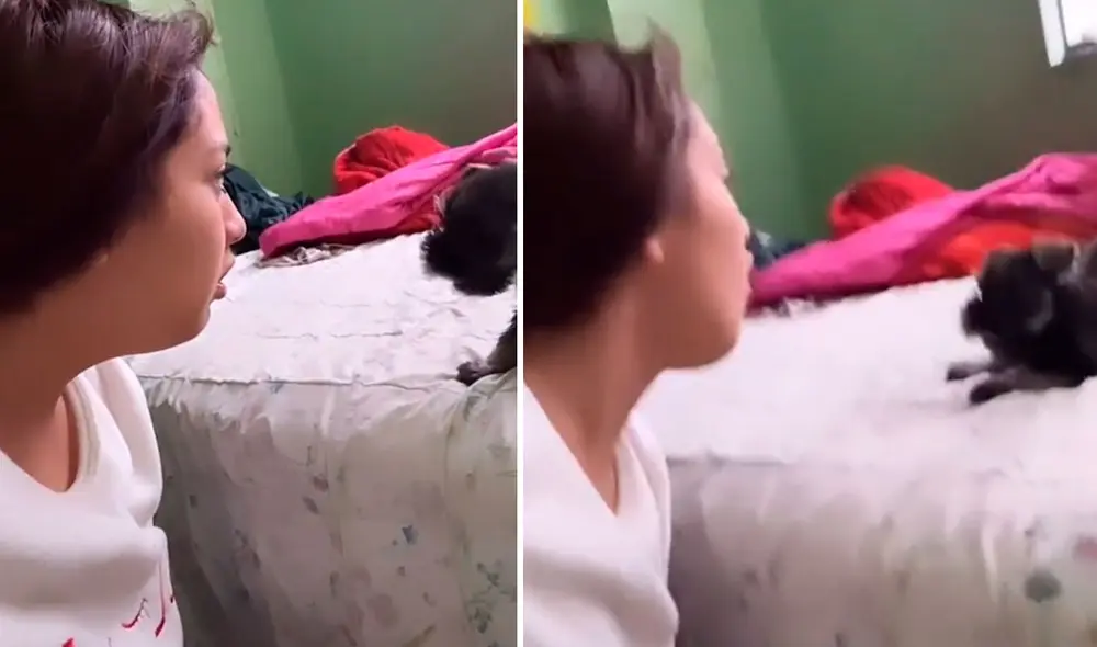 Tras varios segundos de silencio, el perrito decide defenderse y salta hacia su cuidadora con un ladrido. Foto: captura de TikTok