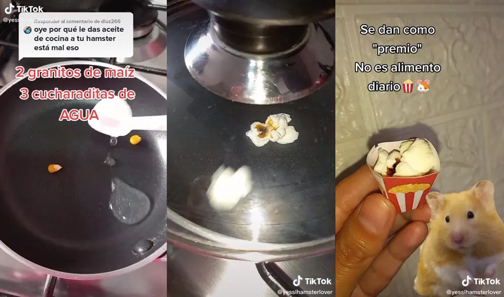 La mujer usa ingredientes completamente salubre para sus mascotas. Foto: captura de TikTok