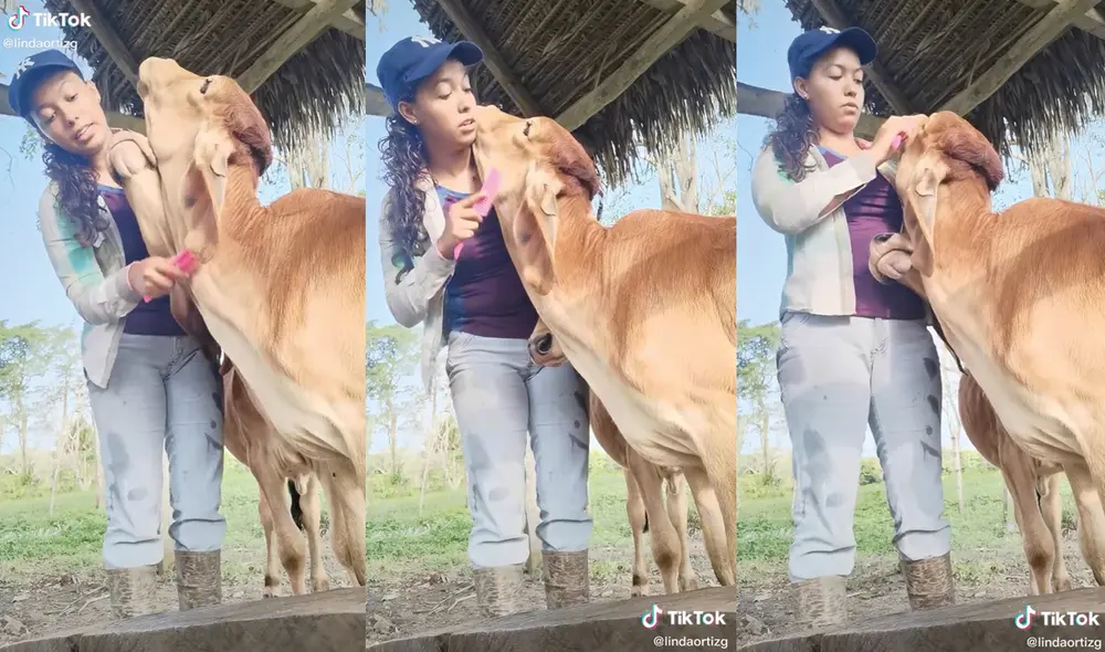 La chica se mostró muy contenta al peinar a su engreída mascota. Foto: captura de TikTok