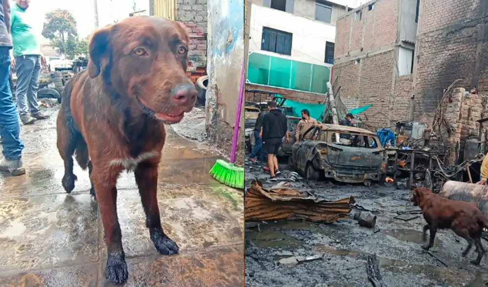 Siete unidades de bomberos atendieron la emergencia en el taller. Foto: María Pía Ponce / URPI-LR