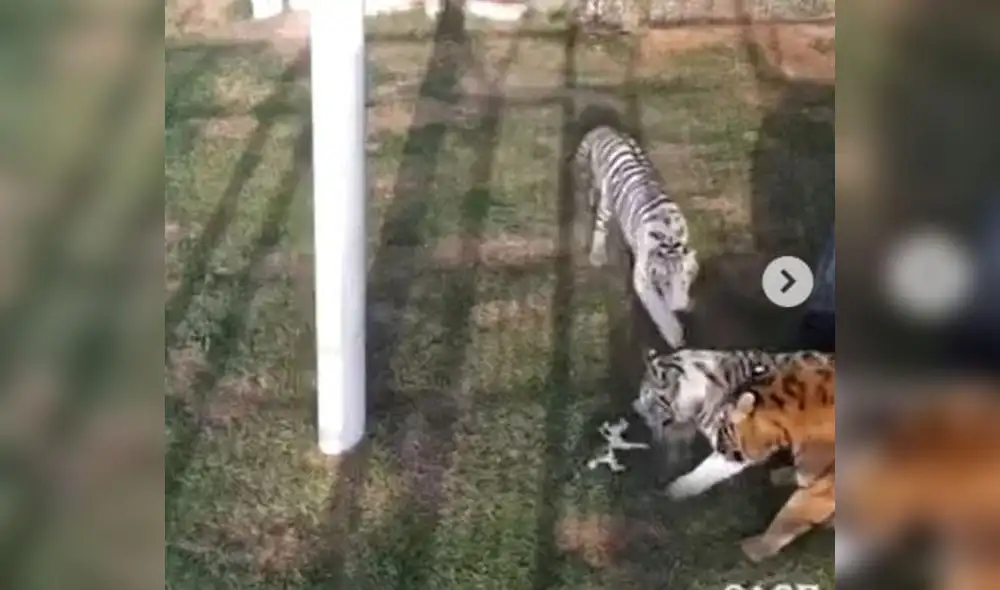 La publicación sorprendió a miles de internautas. Foto: captura de Facebook La publicación sorprendió a miles de internautas. Foto: captura de Facebook