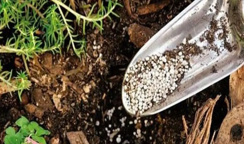 Urea. Los resultados de los diez primeros meses de 2021 se revelan largamente superiores, incluso al total de los doce meses de 2020, cuando se importó por un valor de US$ 99 millones 225 mil 809. Foto: La República