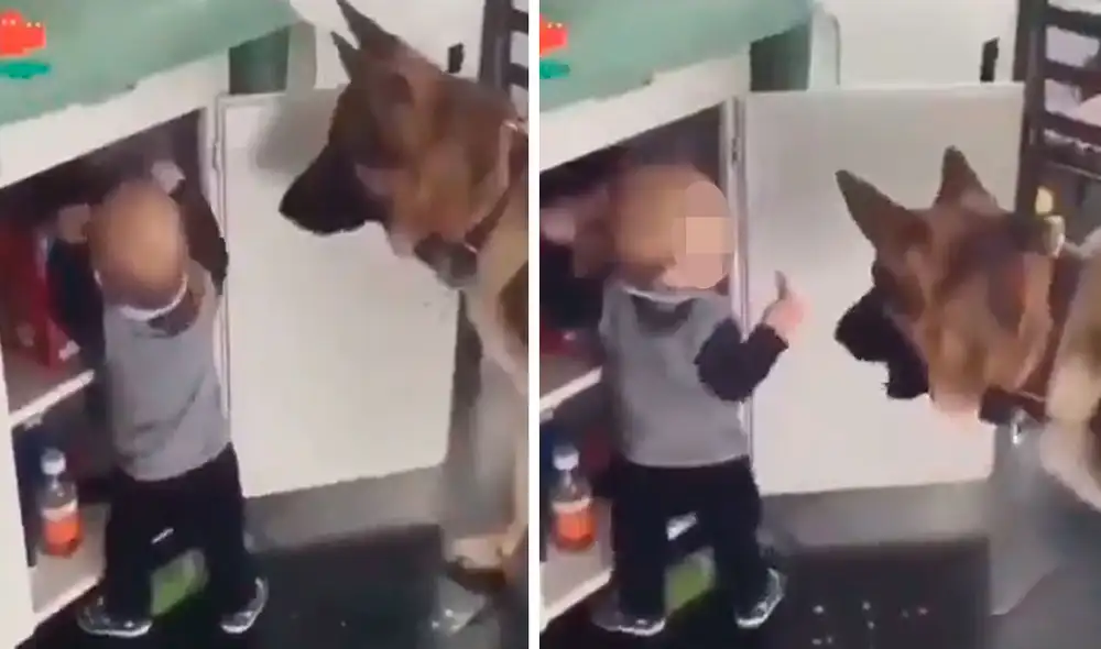 Un perro se convirtió en el cómplice de un pequeño luego que aprovecharon un descuido para cometer unas travesuras; sin embargo, fueron descubiertos. Foto: captura de Facebook