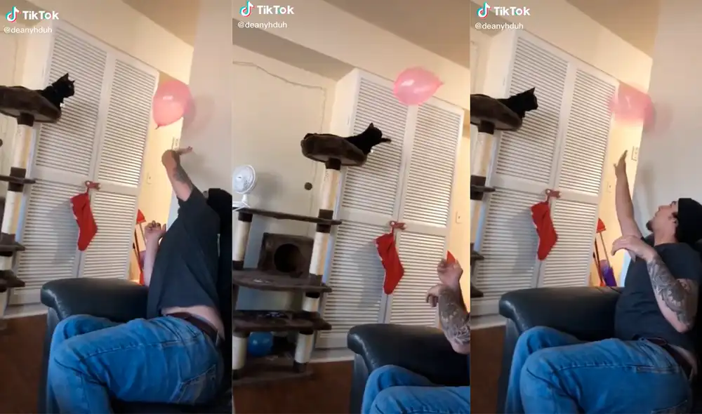 La peculiar dupla logró cautivar a miles de usuarios con la tierna dinámica que desarrollaron. Foto: captura de TikTok