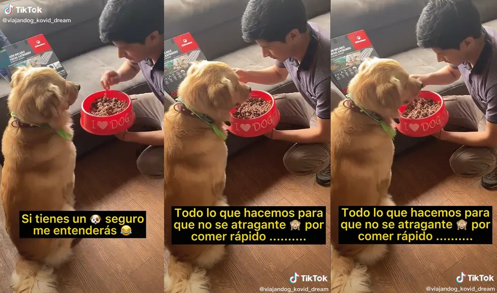 El muchacho realiza este procedimiento con la comida porque su perro come muy rápido. Foto: captura de TikTok