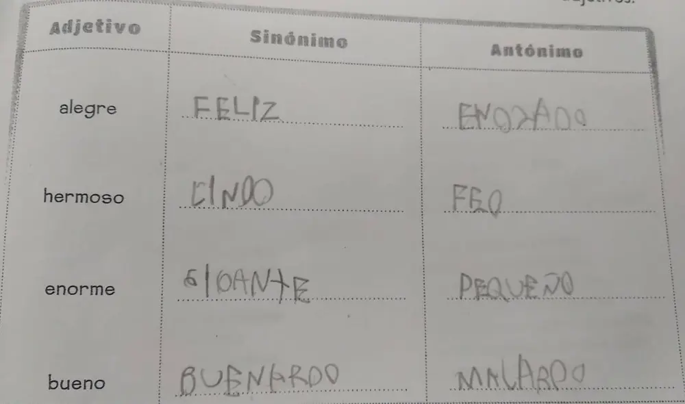 La respuesta del escolar sacó más de una carcajada en redes sociales. Foto: captura de Facebook