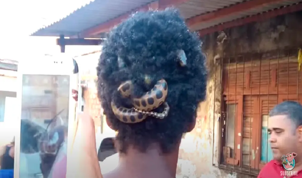 El video ha sido compartido en el canal ViralHog. Foto: captura de YouTube