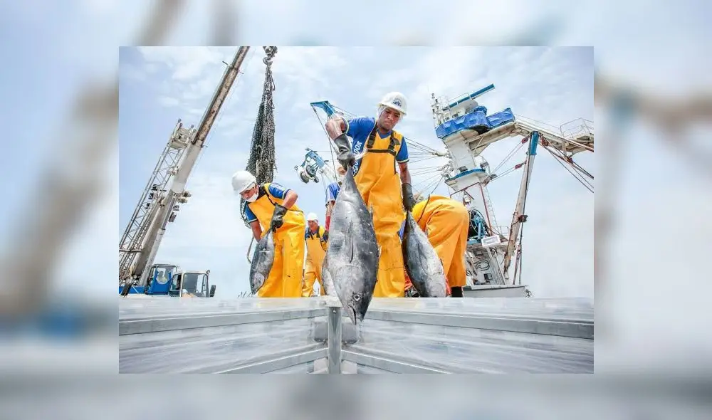 Produce le hizo seguimiento a cuatro embarcaciones. Foto: Produce