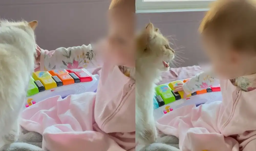 La madre sostuvo que su hija y mascota siempre pasan tiernos momentos juntos. Foto: captura de TikTok.